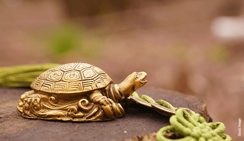 Feng Shui Tortoise as Per Vastu: Direction, Placement & More